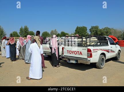 Commercianti di bestiame ad un'asta stradale in Arabia Saudita Foto Stock