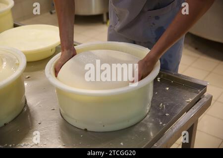 Lavoratore che prende formaggio fresco dalla muffa in fabbrica moderna, primo piano Foto Stock