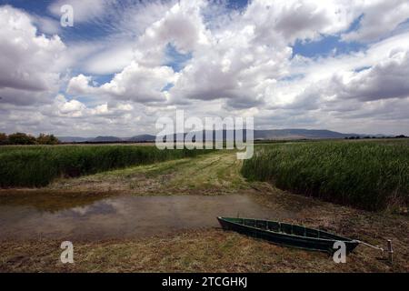 Madrid 06-06-2008 situazione di siccità nel parco nazionale Tablas de Daimiel nella provincia di Ciudad Real foto Jaime García. Crediti: Album / Archivo ABC / Jaime García Foto Stock