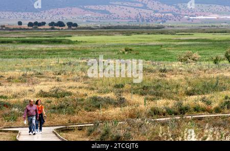 Madrid 06-06-2008 situazione di siccità nel parco nazionale Tablas de Daimiel nella provincia di Ciudad Real foto Jaime García. Crediti: Album / Archivo ABC / Jaime García Foto Stock