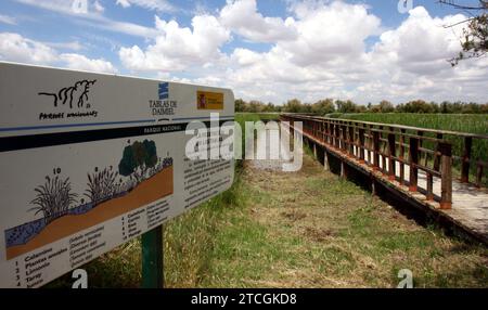 Madrid 06-06-2008 situazione di siccità nel parco nazionale Tablas de Daimiel nella provincia di Ciudad Real foto Jaime García. Crediti: Album / Archivo ABC / Jaime García Foto Stock