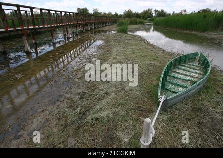 Madrid 06-06-2008 situazione di siccità nel parco nazionale Tablas de Daimiel nella provincia di Ciudad Real foto Jaime García. Crediti: Album / Archivo ABC / Jaime García Foto Stock