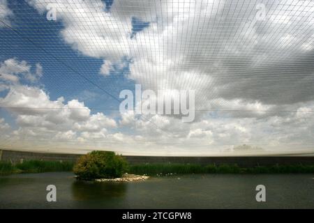 Madrid 06-06-2008 situazione di siccità nel parco nazionale Tablas de Daimiel nella provincia di Ciudad Real foto Jaime García. Crediti: Album / Archivo ABC / Jaime García Foto Stock