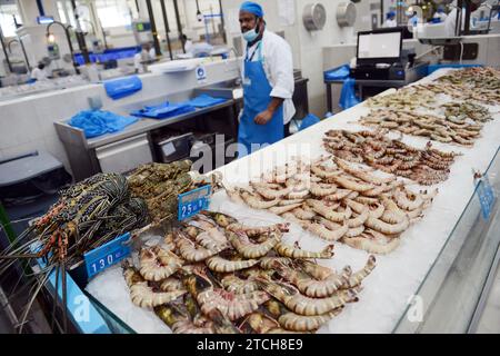 Il pesce fresco esposto da un venditore al Souq al Jubail è un grande mercato di pesce fresco e frutti di mare e frutta e verdura a Sharjah, Emirati Arabi Uniti. Foto Stock