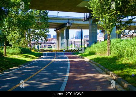 Seul, Corea del Sud - 2 giugno 2023: Una tranquilla pista ciclabile sotto un cavalcavia del ponte vicino al Tan Stream e al complesso dello Stadio Jamsil di Seul, adornata di alberi Foto Stock