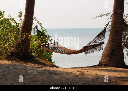 Un'amaca incastonata tra due palme sulla spiaggia sabbiosa. Foto Stock