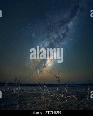 Il nucleo della via Lattea si innalza sopra gli alberi morti che punteggiano il lago salato di Yenyening Lakes, Wheatbelt WA. Foto Stock