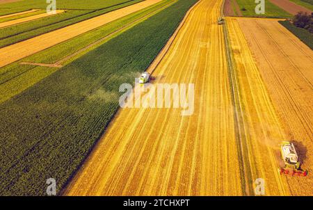 Una mietitrebbia moderna che lavora sul campo del grano, vista aerea. Paesaggio di campagna Foto Stock