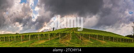 Panorama dei vigneti su una campagna austriaca, la Toscana della Stiria. Strada del vino attraverso sud. Tempesta estiva Foto Stock