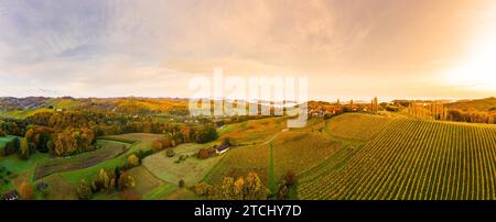 Panorama dei vigneti della stiria meridionale, vista aerea da Eckberg sulle colline autunnali e sulle nebbie Alpi in lontananza Foto Stock