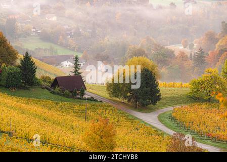 Vista autunnale dal percorso della Stiria meridionale in Austria sulle colline in Slovenia durante l'alba. Autunno a tema Vineyard Foto Stock