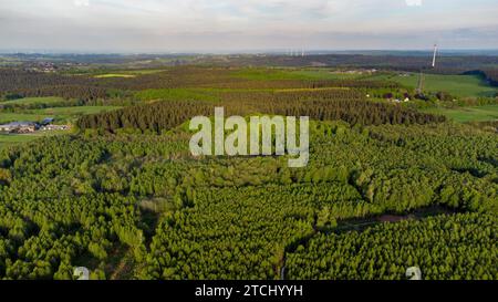 Vista aerea della foresta di Todtenbruch Moor nella regione di Raffelsbrand nella regione dell'Eifel Foto Stock