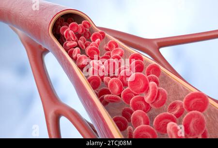 illustrazione 3d dei globuli rossi all'interno di un'arteria, vena. Flusso sanguigno a sezione trasversale arteriosa sano. Rendering 3D. Illustrazione 3D. Foto Stock