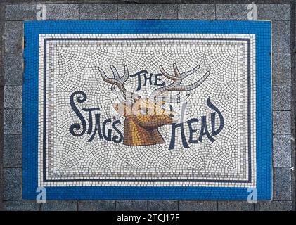 Una pavimentazione a mosaico di fronte all'ingresso del pub storico Stag's Head in Dame Street, nel centro di Dublino, in Irlanda Foto Stock