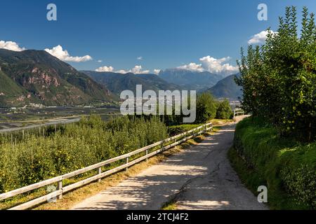 Paesaggio nel comune di Eppan in alto Adige, Italia con meleti e strada sterrata Foto Stock