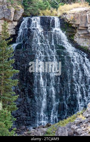 Rustic Falls, cascata lungo Glen Creek vicino alle sorgenti termali Mammoth Hot Springs Foto Stock