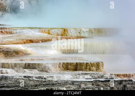 Paesaggio delle sorgenti termali di Mammoth nel Parco Nazionale di Yellowstone Foto Stock