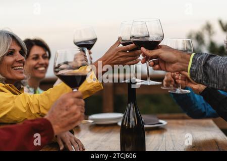 Amici di età diversa condividono un momento di gioia, alzando i bicchieri in un brindisi. Il sole che tramonta e i loro sorrisi mettono in risalto un atmos caldo e conviviale Foto Stock