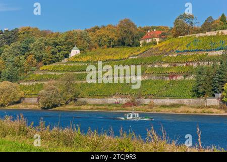 Nave della polizia sull'Elba di fronte al vigneto di Dinglinger Foto Stock