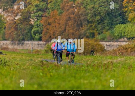 Castelli dell'Elba sul versante dell'Elba Foto Stock