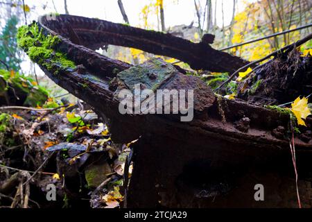 Liebethaler Grund vicino a Lohmen, nella Svizzera sassone Foto Stock