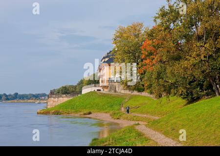 (Copyright C www.dresden fotografie.de) (Sylvio Dittrich) (+49 1772156417) Pillnitz Palace Park Foto Stock