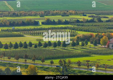 (Copyright C www.dresden fotografie.de) (Sylvio Dittrich) (+49 1772156417) Pillnitz Orchards Foto Stock