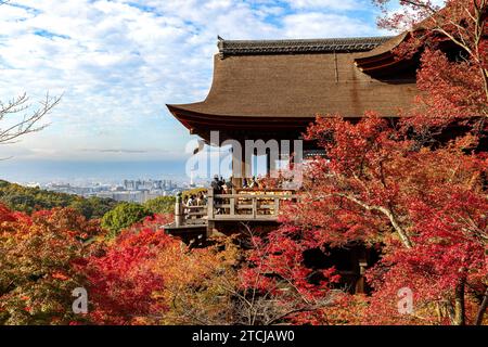 KYOTO/GIAPPONE - 26 novembre 2023: Tempio kiyomizu dera, splendidi aceri rossi giapponesi Foto Stock