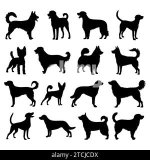 Set di cani, sagome nere di cani razze isolate su sfondo bianco. Illustrazione vettoriale di PET Illustrazione Vettoriale