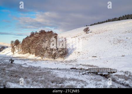 Passerella in legno che attraversa Conglass Water a Glen Livet nella neve. Cairngorms, Highlands, Scozia Foto Stock