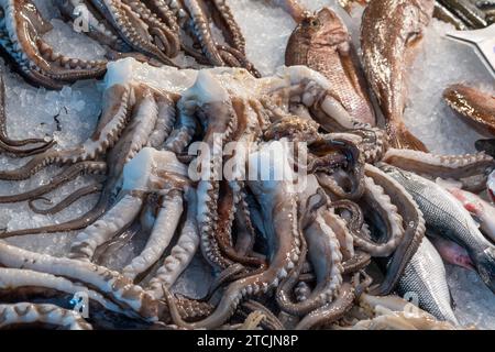 Polpi crudi freschi e pesce sdraiati sul banco di ghiaccio al mercato del pesce di Atene, Grecia. Scaffale aperto con crostacei al mercato del pesce. Primo piano Foto Stock