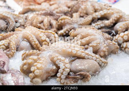 Polpi freschi che si trovano sul banco di ghiaccio al mercato del pesce di Atene, Grecia. Scaffale aperto con crostacei al mercato del pesce. Primo piano Foto Stock