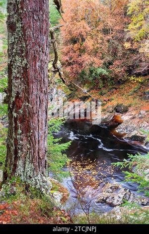 Tardo autunno sul fiume Findhorn a Randolph's Leap. Morayshire, Scozia Foto Stock