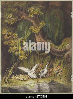 A Goose and a Gander with their Goslings Honking in Alarm as Two Foxes with their Cubs emerge from the Rushes 2003 di Johann Heinrich Wilhelm Tischbein Foto Stock