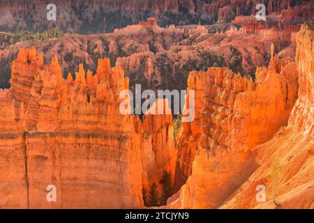 Vista panoramica mozzafiato di arenaria rossa hoodoos nel Bryce Canyon National Park nello Utah, Stati Uniti d'America Foto Stock