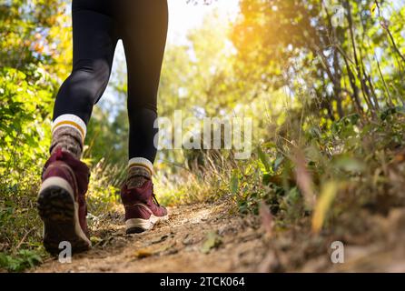 Primo piano dei piedi di un escursionista di montagna Foto Stock