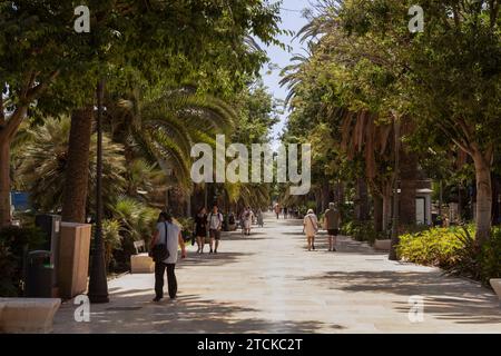 La gente cammina nel parco cittadino con giardini botanici, Paseo del Parque a Málaga. Foto Stock
