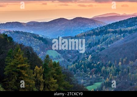 Paesaggio montano autunnale con foresta. Vista sulla valle. Bel cielo arancione poco dopo il tramonto. Area protetta di Vrsatec, Slovacchia. Foto Stock