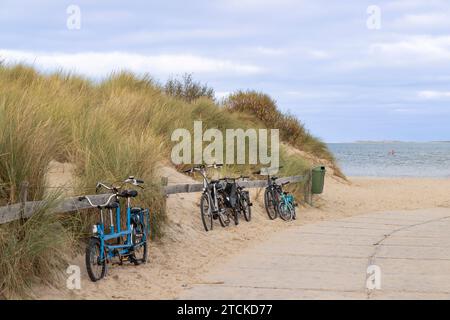 Diverse biciclette parcheggiate contro una recinzione di legno nelle dune di Texel. Sullo sfondo il mare e l'isola olandese di Vlieland. Foto Stock