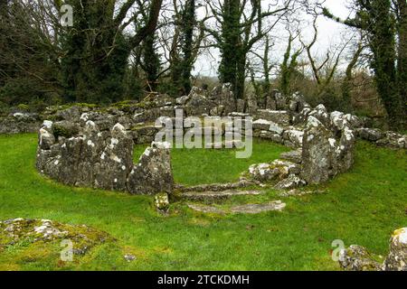 Le rovine del IV secolo a DIN Lligwy su Anglesey furono costruite da isolani locali. L'insediamento fu chiuso per la difesa ed era di solida costruzione. Foto Stock