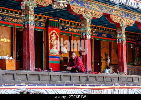 Il giovane monaco tibetano legge le Sacre Scritture. Monastero di Tashi-Lhunpo, Shigatse, Tibet. Cina. Foto Stock