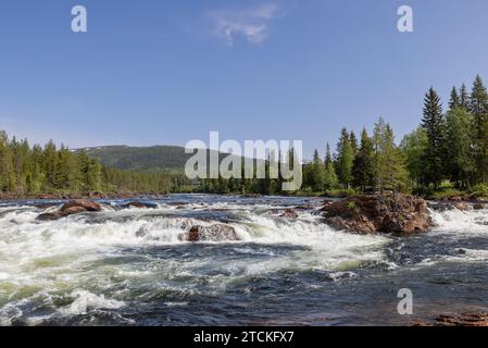 Vista di giorno d'estate del fiume Namsen a Namsskogan, Trondelag, Norvegia, con rapide cascate e grandi rocce nel letto del fiume con alberi isolati, sotto Foto Stock