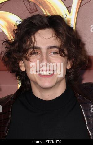 Timothee Chalamet 12/10/2023 "Wonka" Los Angeles prima tenutasi al Regency Village Theatre di Los Angeles, CA. Foto di me Hasegawa / HNW / Picturelux Foto Stock