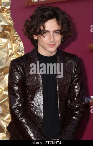 Timothee Chalamet 12/10/2023 "Wonka" Los Angeles prima tenutasi al Regency Village Theatre di Los Angeles, CA. Foto di me Hasegawa / HNW / Picturelux Foto Stock