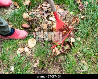 la donna del villaggio rimuove le foglie cadute dal prato verde con il rastrello rosso per ventole il giorno d'autunno Foto Stock