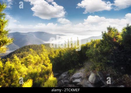 Splendido paesaggio montano con sentiero roccioso, valle nebbiosa, cielo blu e foresta di conifere sulle cime delle montagne. Magica mattinata in montagna Foto Stock