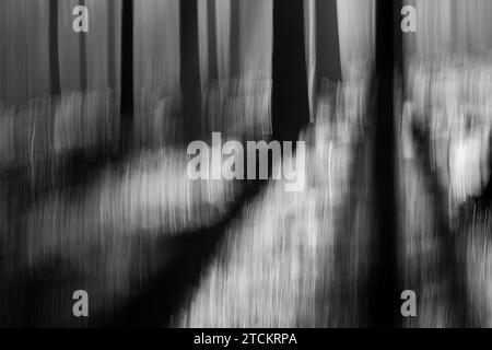 Foresta atmosferica, strutture astratte, effetto di pulizia, esposizione delle lampadine Foto Stock