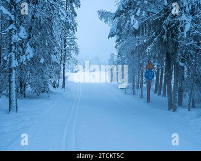 Strada per sciatori, motoslitte ed escursionisti attraverso un paesaggio invernale innevato, Lapponia, Finlandia. Foto Stock