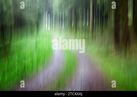 Percorso boschivo atmosferico, strutture astratte, effetto di pulizia, esposizione delle lampadine Foto Stock