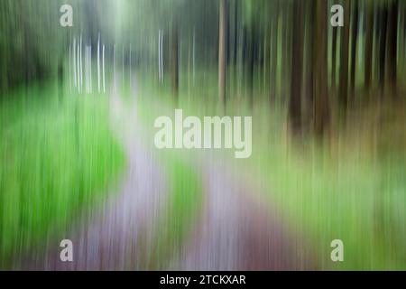 Percorso boschivo atmosferico, strutture astratte, effetto di pulizia, esposizione delle lampadine Foto Stock